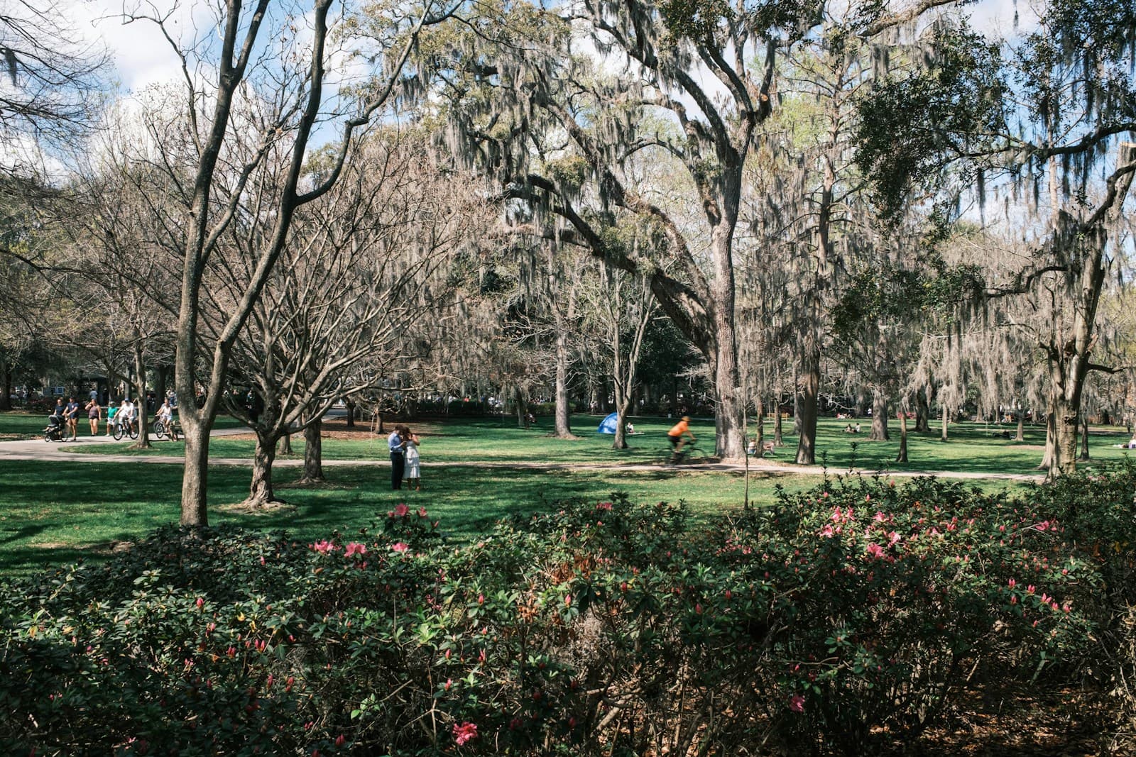 Savannah cityscape
