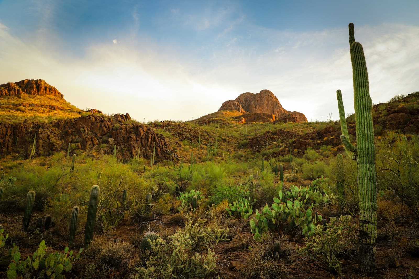Tucson cityscape