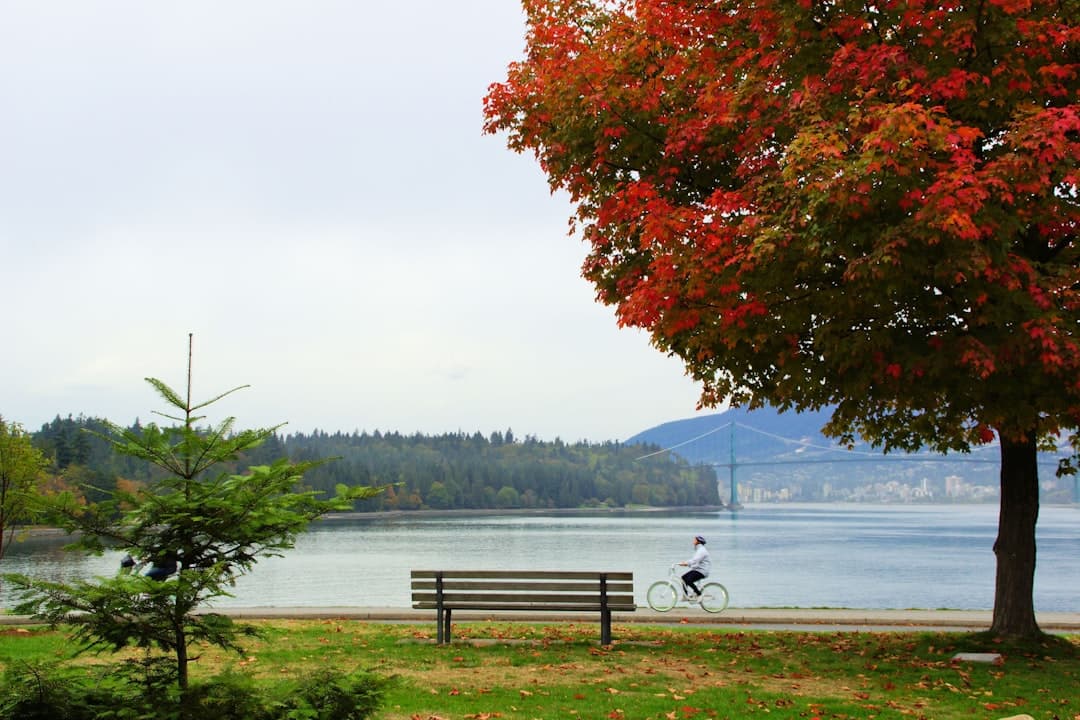 Vancouver culture and identity